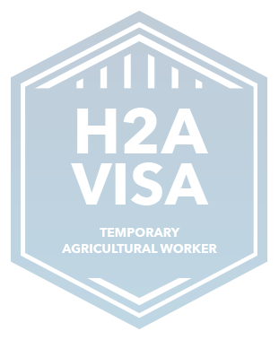 H2avisa Agriculture Badge Eng Copy H2avisa Agriculture Badge Eng Copy
